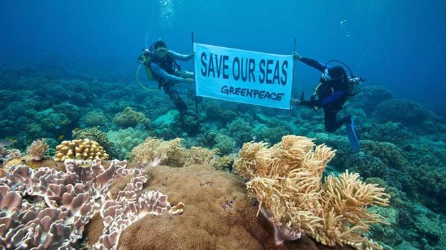 Απροστάτευτοι οι πυρήνες θαλάσσιας βιοποικιλότητας της Ελλάδας!