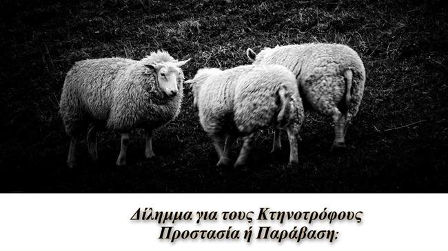 Ηλεκτροφόρες περιφράξεις: Νόμιμες στην Ευρώπη, παράνομες στην Ελλάδα;
