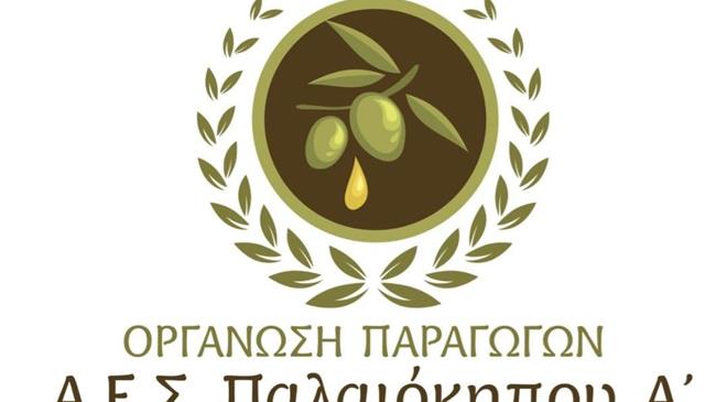 Πρόσκληση εκδήλωσης ενδιαφέροντος για υποστήριξη Ο.Π. Αγροτικού Ελαιουργικού Συνεταιρισμού Παλαιόκηπου Α'