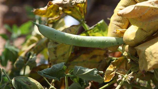 Νέα Αριστερά: Η κυβέρνηση εγκαταλείπει τους αγρότες της Λάρισας
