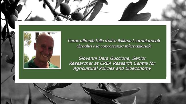 Giovanni Dara Guccione su Agrocapital: Come affronta l'olio d'oliva italiano i cambiamenti climatici e la concorrenza internazionale