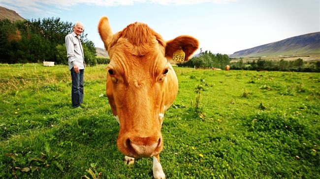 Ο ρόλος της κτηνοτροφίας στο οικοσύστημά μας