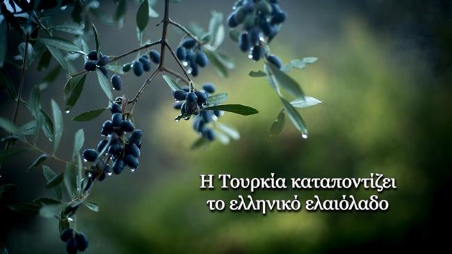 H Τουρκία καταποντίζει το ελληνικό ελαιόλαδο.Τρίβουν τα χέρια τους εντός και εκτός Ελλάδας