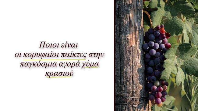 Ποιες χώρες κατακτούν την παγκόσμια αγορά χύμα κρασιού;