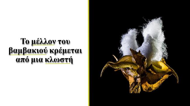 Συνάντηση για το μέλλον του βάμβακος στο Μέγαρο Μαξίμου