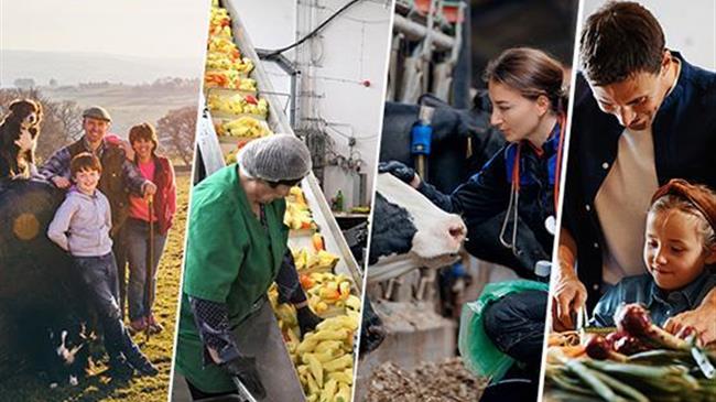 Ιδρύθηκε το Ευρωπαϊκό Συμβούλιο Γεωργίας και Τροφίμων