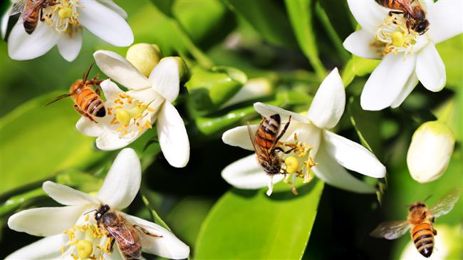 3ος κύκλος «Προστασία της Φύσης Lab»