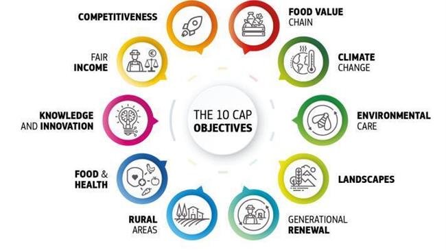 ΚΓΠ: Οι Ευρωπαίοι στηρίζουν την αγροτική πολιτική της ΕΕ