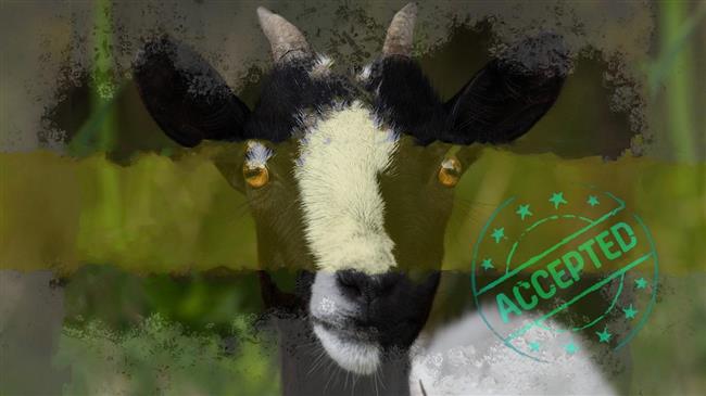 Επί του πιεστηρίου: Ξεκινούν σήμερα εξονυχιστικοί έλεγχοι του ΟΠΕΚΕΠΕ