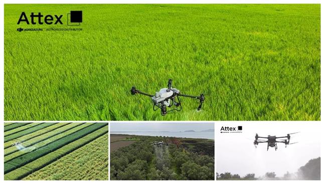 Το μέλλον της γεωργίας στην Ελλάδα: Πως τα drone DJI ADRAS T50 και Τ25 φέρνουν την επανάσταση στην ελληνικη γεωργία