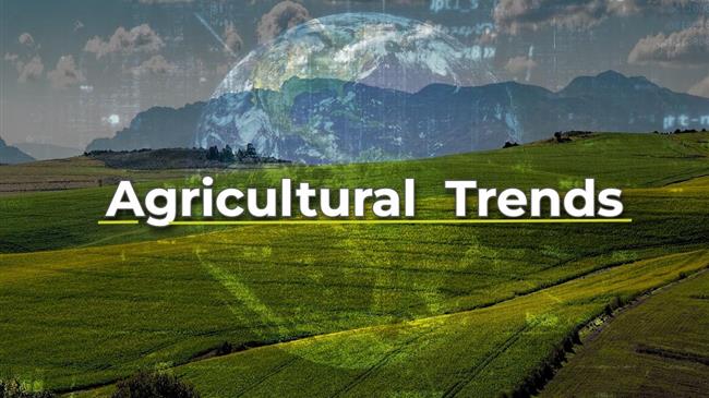 Επενδύσεις στην αγροδιατροφή: Ποιοι κλάδοι «κλέβουν» την παράσταση