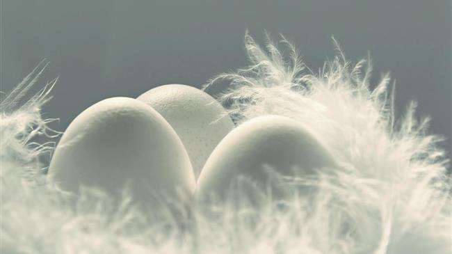 Αυγά Γαλλίας: Μια «ομελέτα» προβλημάτων και η αναζήτηση της χρυσής συνταγής