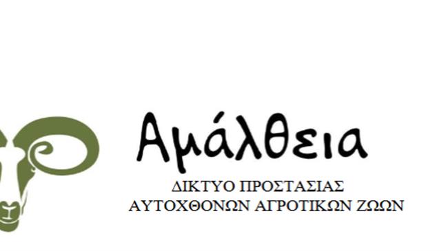 "Κάρλα": Μια νέα φυλή πρόβατων στην Ελλάδα;