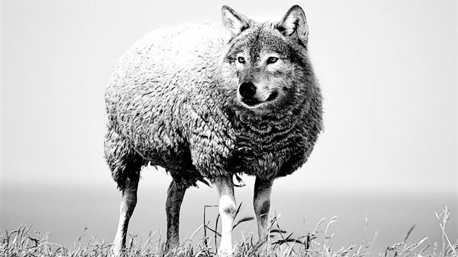 Βοσκοτόπια της απάτης: 100 στο εδώλιο για εκατομμύρια από τα ταμεία της ΕΕ