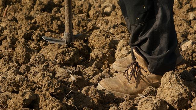 “Αντίθετοι” στους δασμούς οι Αμερικανοί αγρότες