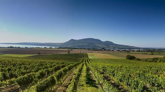 Η Ελλάδα των αμπελιών – Δεύτερη στην Ευρώπη με κρασί από γενιά σε γενιά!