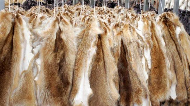 Παράταση του μέτρου της αναστολής συμβάσεων εργασίας εργαζομένων στον κλάδο της γουνοποιίας