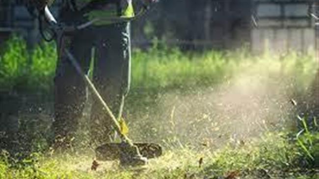 Υποχρεωτικός καθαρισμός των ιδιωτικών οικοπέδων έως τις 30 Απριλίου 2025