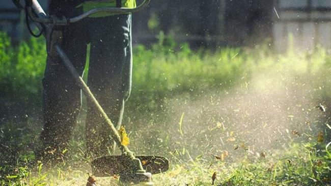 Παράταση έως 15 Ιουνίου για δηλώσεις καθαρισμού οικοπέδων