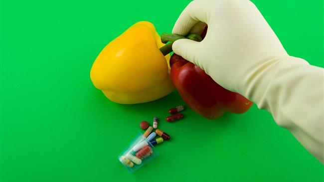 Κινήσεις για αυστηρότερους κανόνες στα ΓΤΟ: Επιστολές σε Έλληνες Ευρωβουλευτές