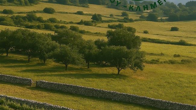 Γενική συνέλευση & ενημέρωση Αγροτικού Συνεταιρισμού Πασίου – Κλημεντίου