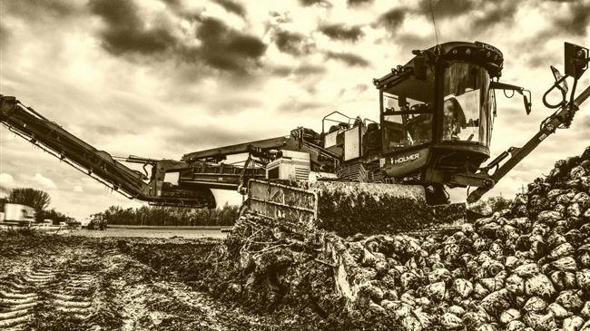 Επιστροφή στην πραγματικότητα για τη ζάχαρη – Οι τιμές καταρρέουν