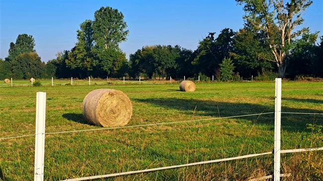 Τα αιτήματα του ΠΑΣΟΚ για την Εξεταστική Επιτροπή του ΟΠΕΚΕΠΕ