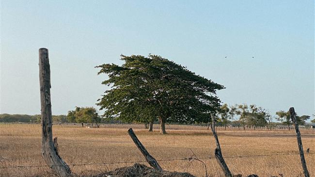 ΣΥΡΙΖΑ: Όταν το γαλάζιο σκάνδαλο του ΟΠΕΚΕΠΕ βαφτίζεται «παρατυπία»