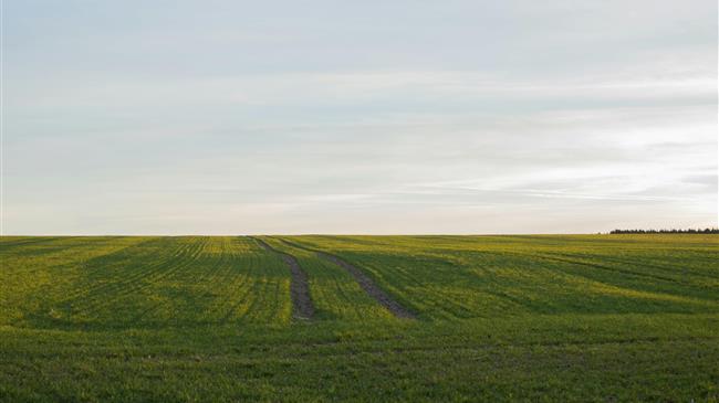 ΠΟΓΕΔΥ: Δικαίωση για τους ελέγχους βιολογικής γεωργίας και κτηνοτροφίας