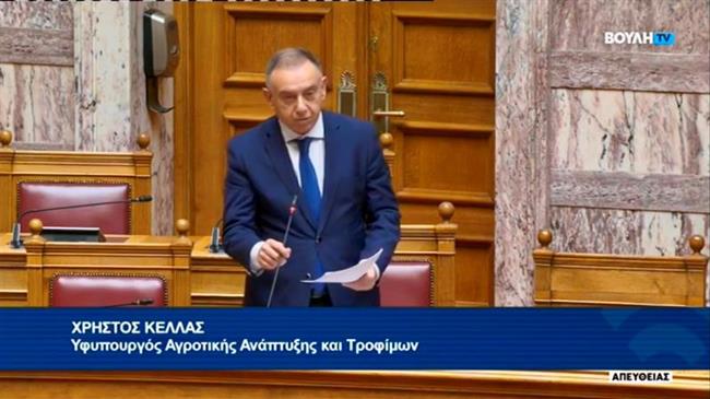 Κέλλας: ενισχύουμε τους μελισσοκόμους με στοχευμένα μέτρα 61,6 εκατ. ευρώ
