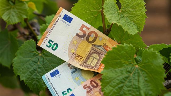 Σοβαρές προειδοποιήσεις για τη νέα ΚΓΠ από το Ευρωπαϊκό Ελεγκτικό Συνέδριο