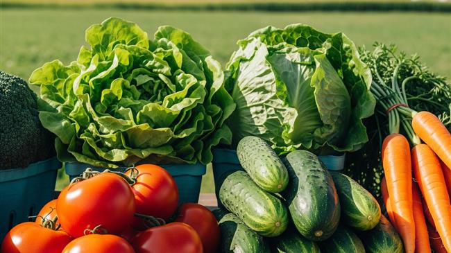 Δόθηκε παράταση στις αιτήσεις για το πρόγραμμα βιολογικής γεωργίας και κτηνοτροφίας