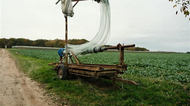 Πλαστά μισθωτήρια στα Κύθηρα: Ένοχοι 38 αγρότες στο Αγρίνιο για απάτη στον ΟΠΕΚΕΠΕ