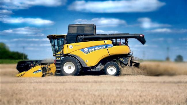 Σκληρό σιτάρι - σκληρή αλήθεια: Οι αριθμοί δεν βγαίνουν πια για την Ευρώπη