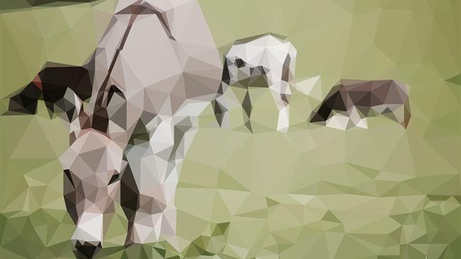 Συνδεδεμένες ενισχύσεις: Αύριο η πίστωση στους λογαριασμούς – Μάχη με το χρόνο στον ΟΠΕΚΕΠΕ