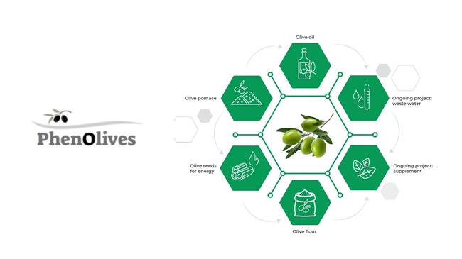 PhenOlives: Όταν τα απόβλητα της ελαιοπαραγωγής μετατρέπονται σε χρυσάφι