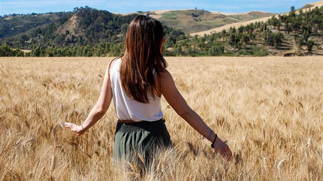 Το σιτάρι πιέζεται, οι αγορές περιμένουν: Πού θα κυμανθεί η τιμή;