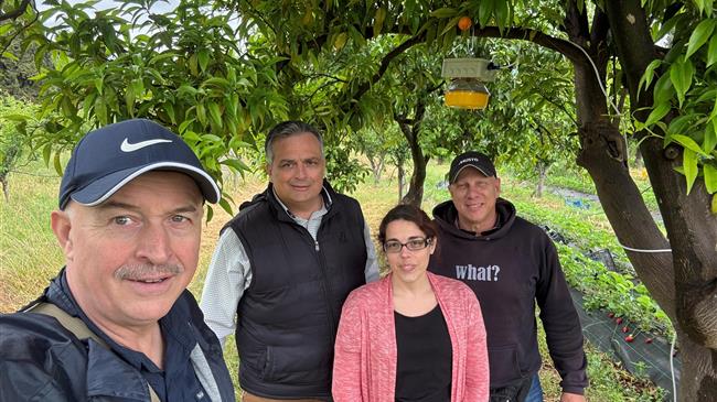 Συνεργασία Ιονίου Πανεπιστημίου και Πανεπιστημίου Θεσσαλίας για την αντιμετώπιση της μύγας της Μεσογείου με ψηφιακές παγίδες