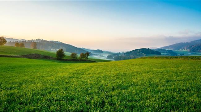 Διαχειριστικά σχέδια βόσκησης: Νέα αρχή, παλιά ερωτήματα και εκατομμύρια σε πρόστιμα για την Ελλάδα