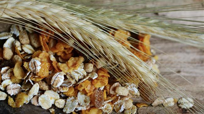 ΕΕ: Η αξία των εξαγωγών δημητριακών και ελαιούχων σπόρων σημειώνει πτώση