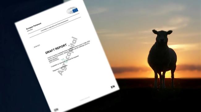 Κτηνοτροφία: Έκθεση καμπανάκι απο την Ε.Ε - Επανεκκίνηση ή αποχώρηση για χιλιάδες παραγωγούς;