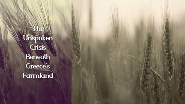 Η Βουλγαρία σπέρνει στρατηγική και θερίζει εξαγωγές – Η Ελλάδα μειώνει τα στρέμματα και... τις προσδοκίες