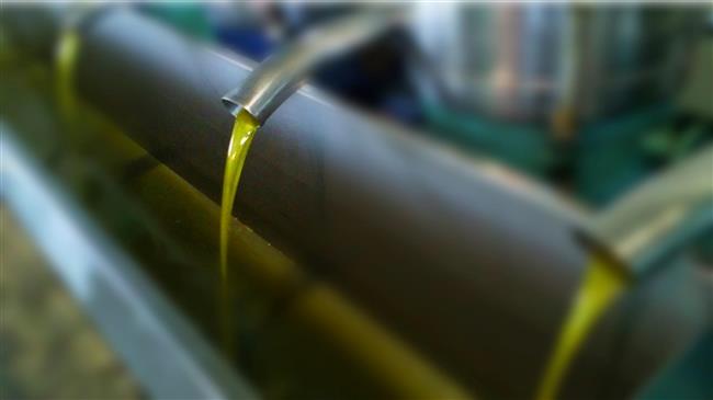 Ελαιόλαδο: Πού φτάνει το κιλό σε Ελλάδα, Ιταλία και Ισπανία – Oι νικητές και οι χαμένοι της αγοράς