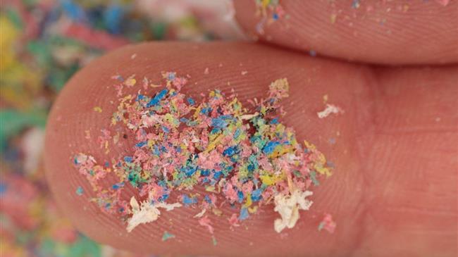 Μικροπλαστικά στον θαλάσσιο κόσμο: Σοκαριστικά ποσοστά ρύπανσης στα θαλασσινά