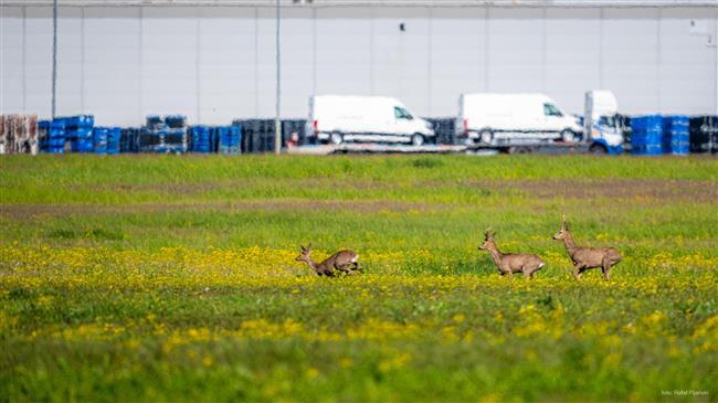Βιοποικιλότητα και βιωσιμότητα στην πράξη:  Η Φύση συμβιώνει με τη βιομηχανία