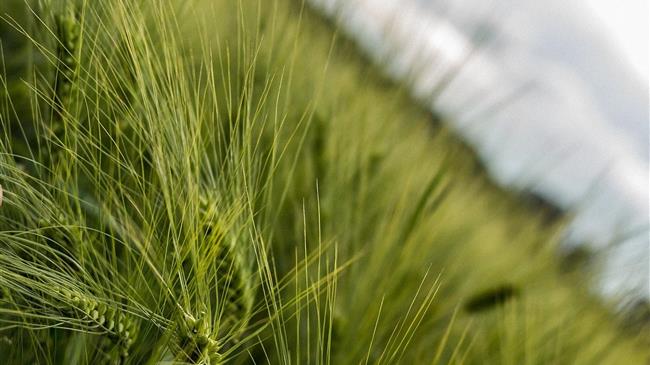 Ο ΟΟΣΑ ξεγυμνώνει τις αδυναμίες και δείχνει την έξοδο από τον λαβύρινθο