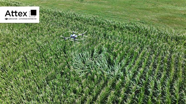 Πυραλίδα και σκαθάρι τέλος: Πώς τα drones της DJI AGRAS αλλάζουν το παιχνίδι στο καλαμπόκι