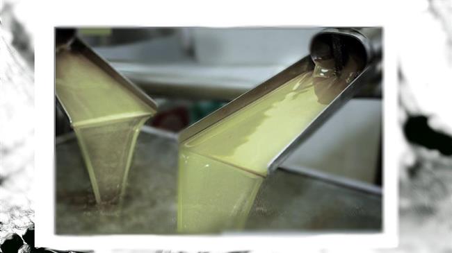 Εξαγωγικό ρεκόρ χωρίς λάδι – Η Ισπανία ξεπουλά το EVOO και οι τιμές καταρρέουν