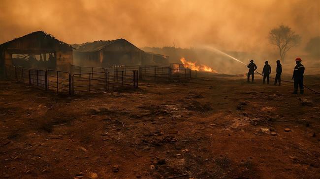 Η Εύβοια πληρώνει ξανά το τίμημα: Ζώα, μονάδες και μέλλον παραδόθηκαν στις φλόγες