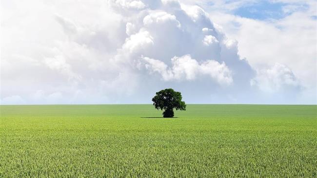 Γαλλία: Ξεκινά το ξήλωμα της αγροτικής γραφειοκρατίας- Τέλος στα εμπόδια για τους αγρότες